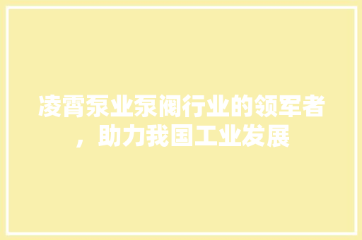 凌霄泵业泵阀行业的领军者，助力我国工业发展
