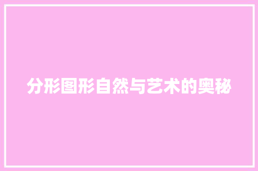 分形图形自然与艺术的奥秘