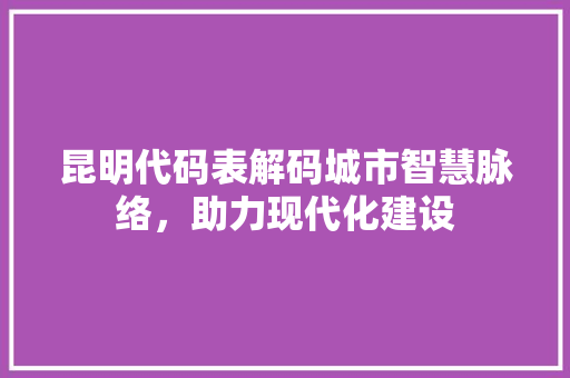 昆明代码表解码城市智慧脉络，助力现代化建设
