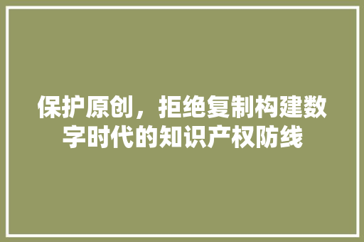 保护原创，拒绝复制构建数字时代的知识产权防线