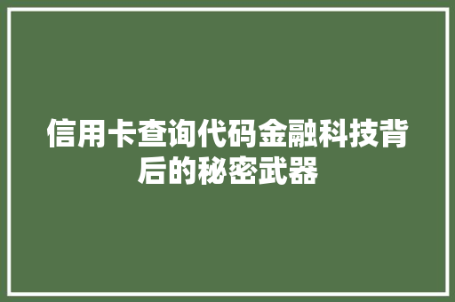 信用卡查询代码金融科技背后的秘密武器