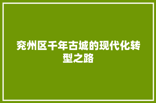 兖州区千年古城的现代化转型之路