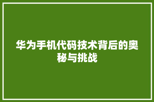 华为手机代码技术背后的奥秘与挑战
