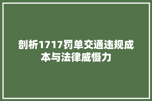 剖析1717罚单交通违规成本与法律威慑力