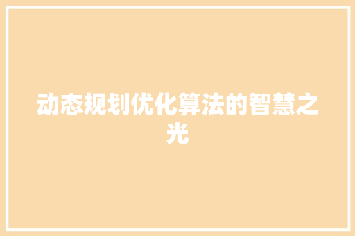 动态规划优化算法的智慧之光