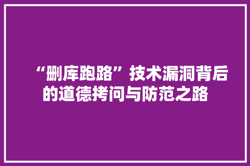 “删库跑路”技术漏洞背后的道德拷问与防范之路