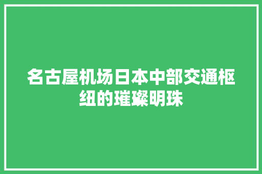 名古屋机场日本中部交通枢纽的璀璨明珠