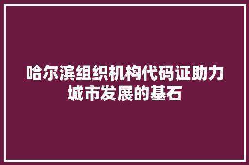 哈尔滨组织机构代码证助力城市发展的基石