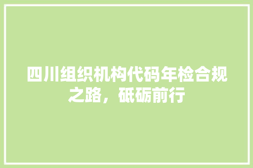 四川组织机构代码年检合规之路，砥砺前行