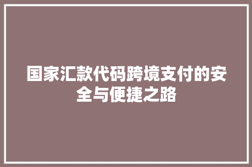 国家汇款代码跨境支付的安全与便捷之路