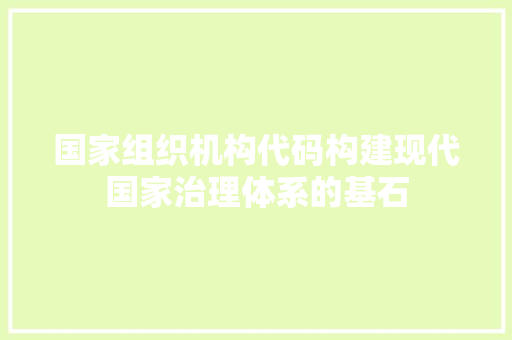 国家组织机构代码构建现代国家治理体系的基石