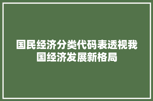 国民经济分类代码表透视我国经济发展新格局