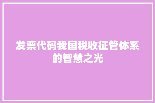 发票代码我国税收征管体系的智慧之光