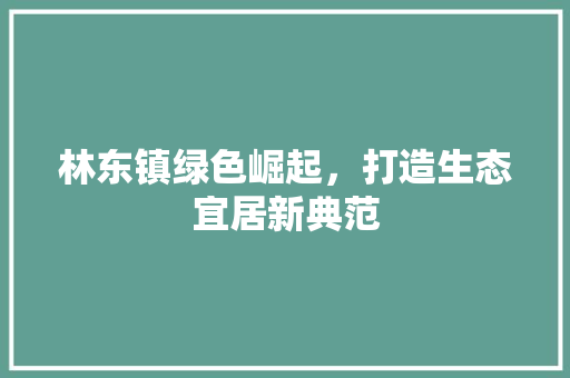 林东镇绿色崛起，打造生态宜居新典范