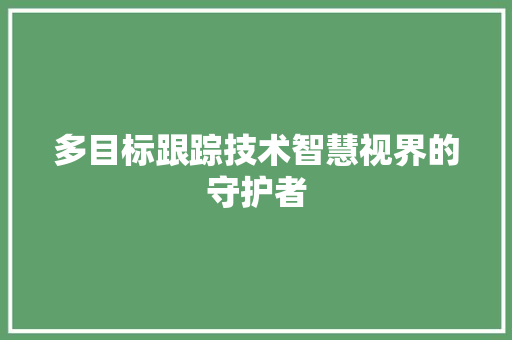 多目标跟踪技术智慧视界的守护者