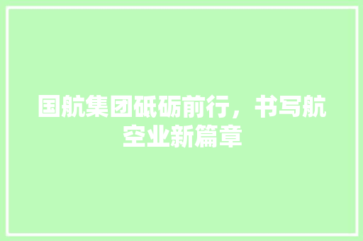 国航集团砥砺前行，书写航空业新篇章