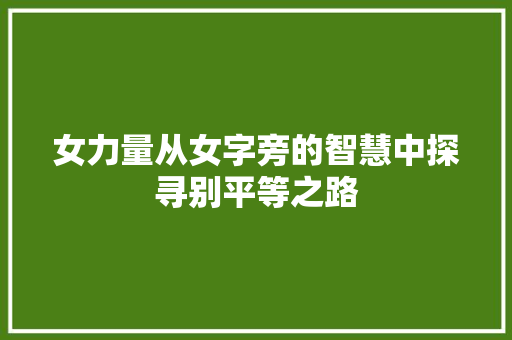 女力量从女字旁的智慧中探寻别平等之路