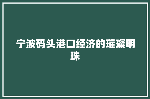 宁波码头港口经济的璀璨明珠