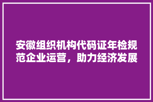 安徽组织机构代码证年检规范企业运营，助力经济发展