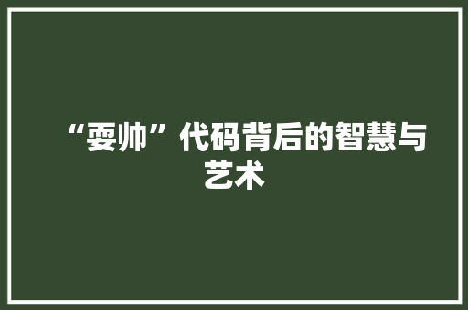 “耍帅”代码背后的智慧与艺术