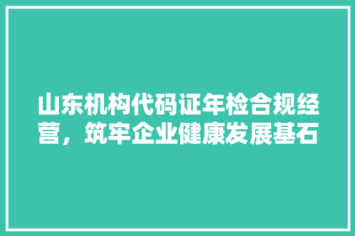 山东机构代码证年检合规经营，筑牢企业健康发展基石