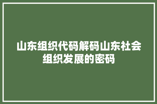 山东组织代码解码山东社会组织发展的密码