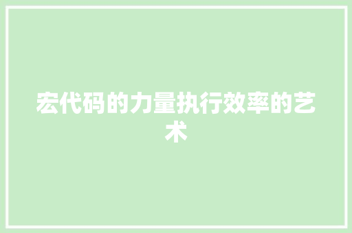 宏代码的力量执行效率的艺术