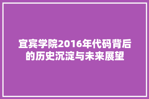 宜宾学院2016年代码背后的历史沉淀与未来展望