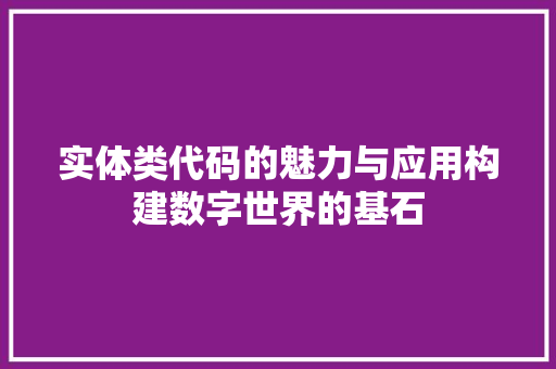 实体类代码的魅力与应用构建数字世界的基石