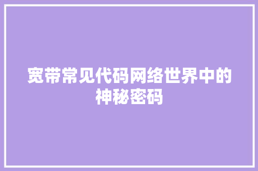 宽带常见代码网络世界中的神秘密码