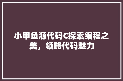 小甲鱼源代码C探索编程之美，领略代码魅力
