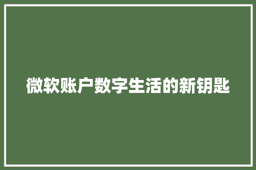 微软账户数字生活的新钥匙