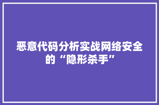 恶意代码分析实战网络安全的“隐形杀手”