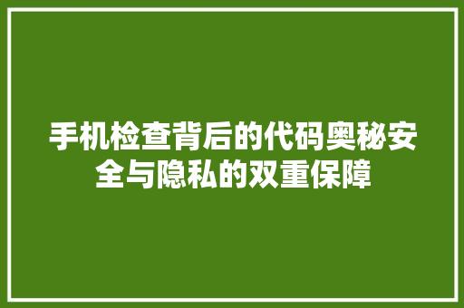 手机检查背后的代码奥秘安全与隐私的双重保障