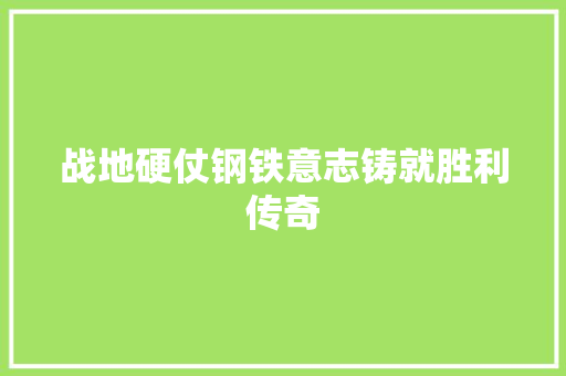 战地硬仗钢铁意志铸就胜利传奇