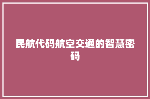 民航代码航空交通的智慧密码