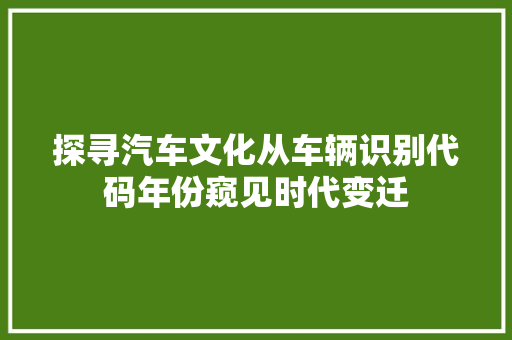 探寻汽车文化从车辆识别代码年份窥见时代变迁