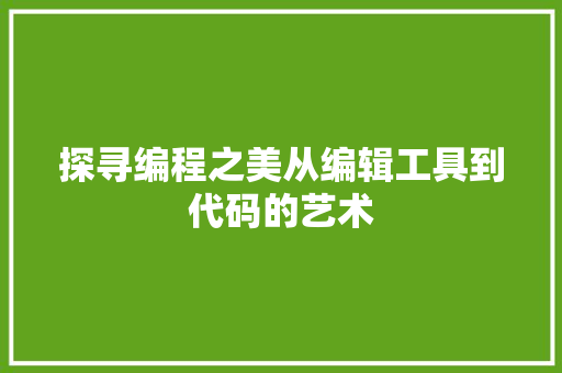 探寻编程之美从编辑工具到代码的艺术