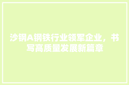 沙钢A钢铁行业领军企业，书写高质量发展新篇章