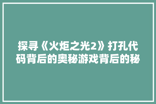 探寻《火炬之光2》打孔代码背后的奥秘游戏背后的秘密