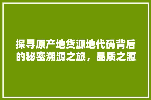 探寻原产地货源地代码背后的秘密溯源之旅，品质之源