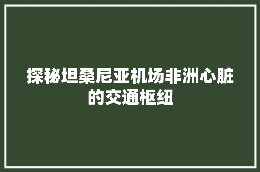 探秘坦桑尼亚机场非洲心脏的交通枢纽