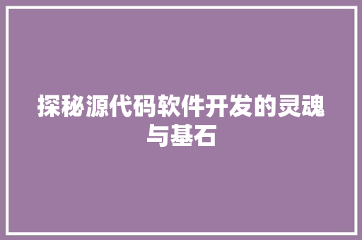探秘源代码软件开发的灵魂与基石