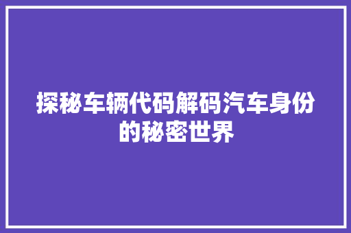探秘车辆代码解码汽车身份的秘密世界