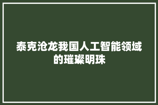 泰克沧龙我国人工智能领域的璀璨明珠