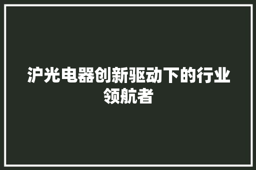 沪光电器创新驱动下的行业领航者
