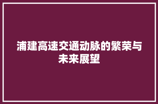 浦建高速交通动脉的繁荣与未来展望