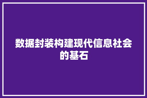 数据封装构建现代信息社会的基石