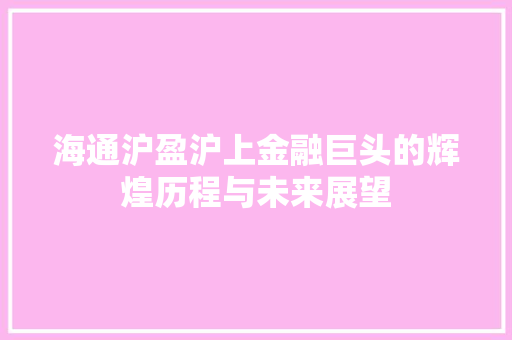 海通沪盈沪上金融巨头的辉煌历程与未来展望