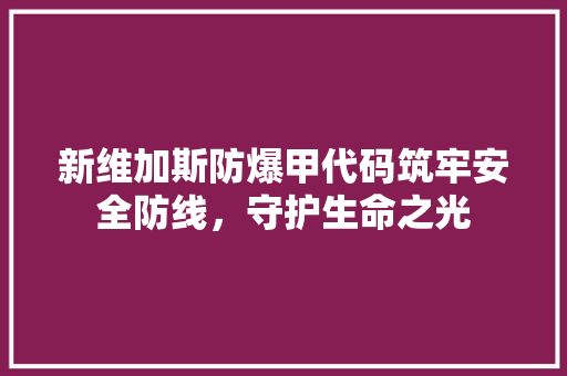 新维加斯防爆甲代码筑牢安全防线，守护生命之光